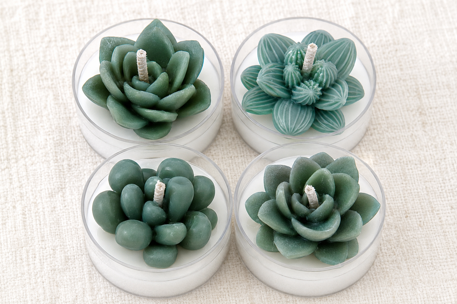Eucalyptus Succulent Tea Light Candles – Set of 4 | Handmade Soy Wax | Gift Box